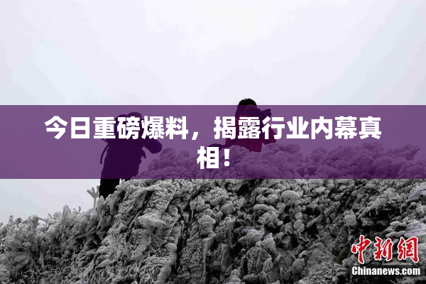 今日重磅爆料，揭露行业内幕真相！