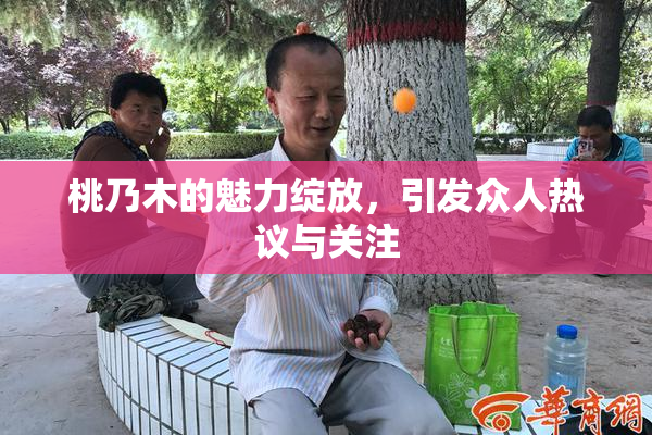 桃乃木的魅力绽放，引发众人热议与关注