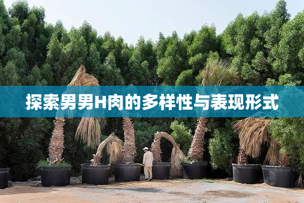 探索男男H肉的多样性与表现形式