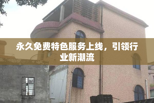 永久免费特色服务上线，引领行业新潮流