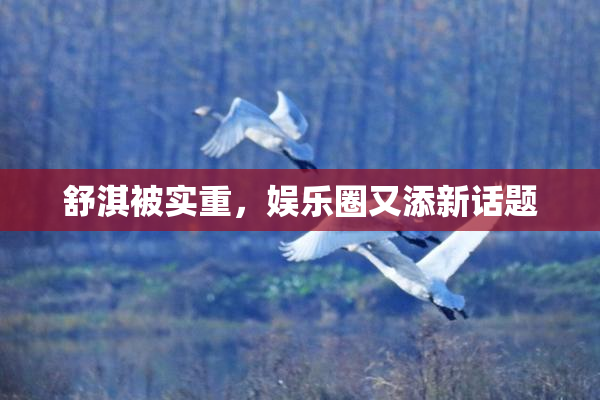 舒淇被实重，娱乐圈又添新话题