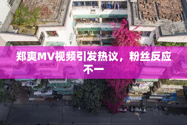郑爽MV视频引发热议，粉丝反应不一