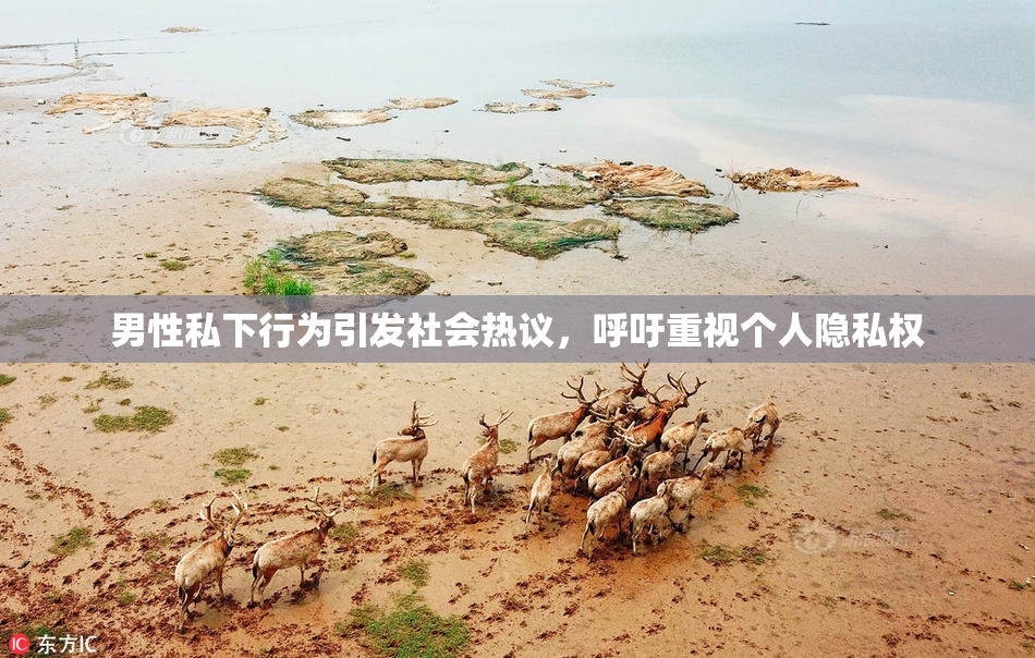 男性私下行为引发社会热议，呼吁重视个人隐私权