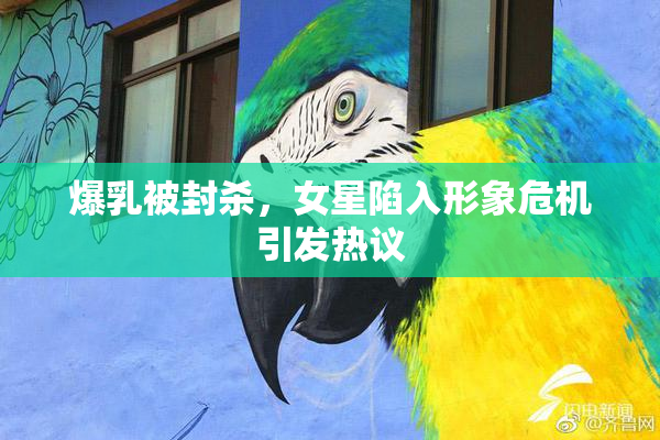 爆乳被封杀，女星陷入形象危机引发热议