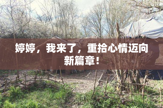 婷婷，我来了，重拾心情迈向新篇章！