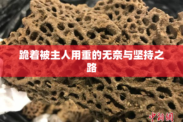 跪着被主人用重的无奈与坚持之路