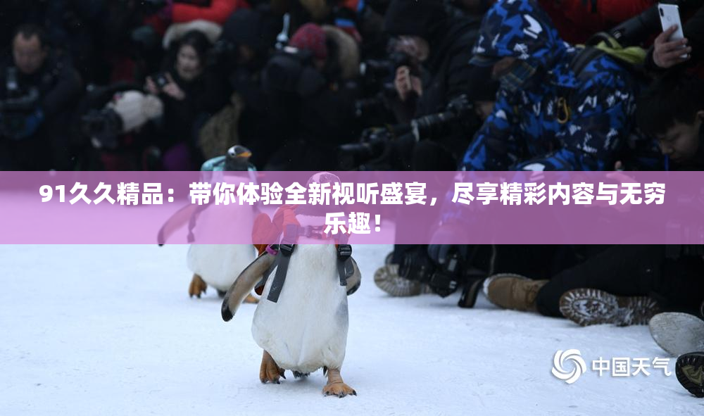 91久久精品：带你体验全新视听盛宴，尽享精彩内容与无穷乐趣！
