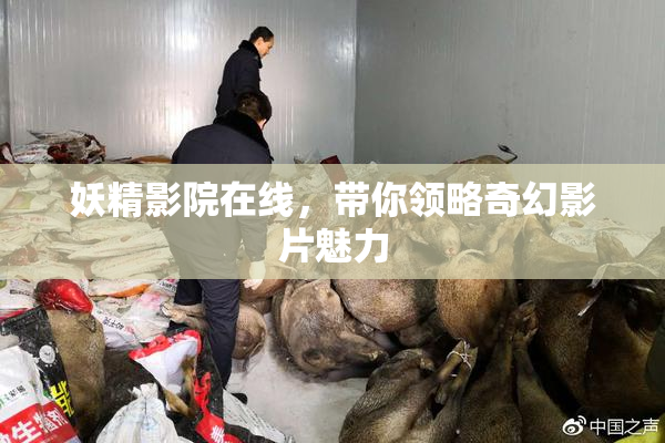 妖精影院在线，带你领略奇幻影片魅力