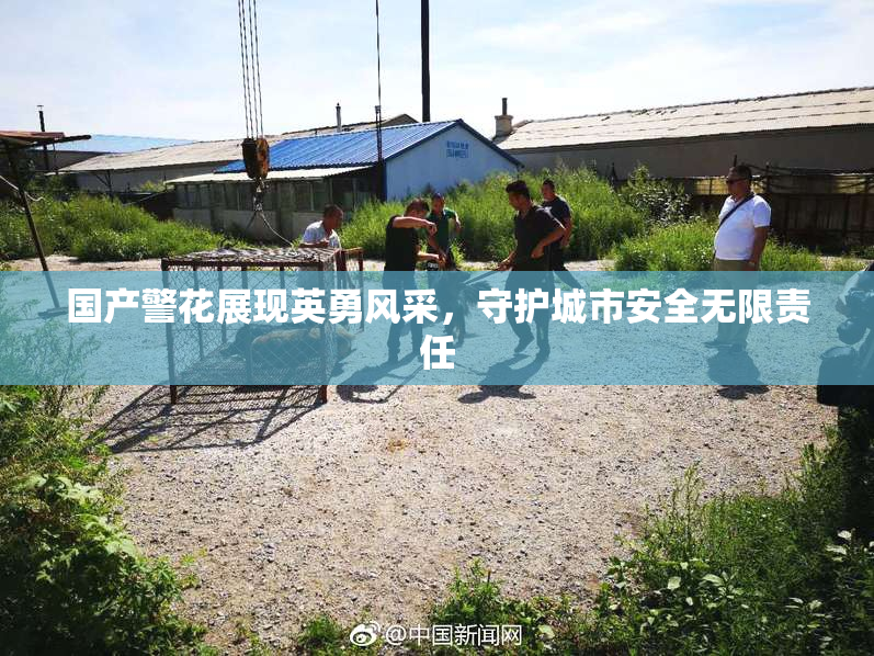 国产警花展现英勇风采，守护城市安全无限责任