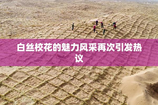 白丝校花的魅力风采再次引发热议