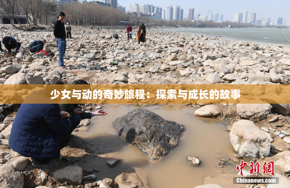 少女与动的奇妙旅程：探索与成长的故事
