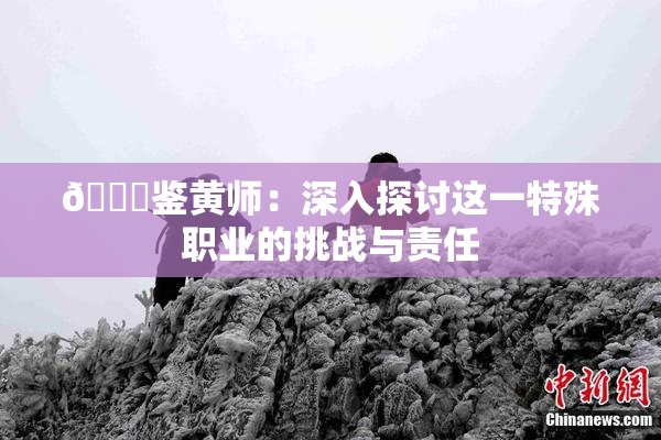 🔞鉴黄师：深入探讨这一特殊职业的挑战与责任