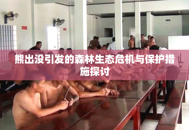 熊出没引发的森林生态危机与保护措施探讨