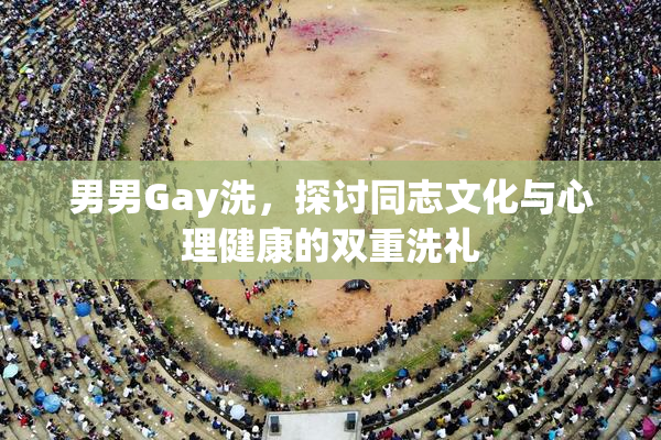 男男Gay洗，探讨同志文化与心理健康的双重洗礼