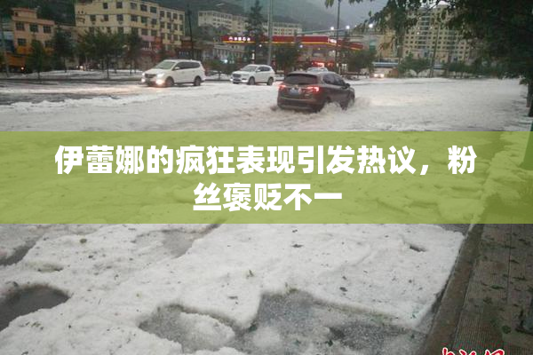 伊蕾娜的疯狂表现引发热议，粉丝褒贬不一