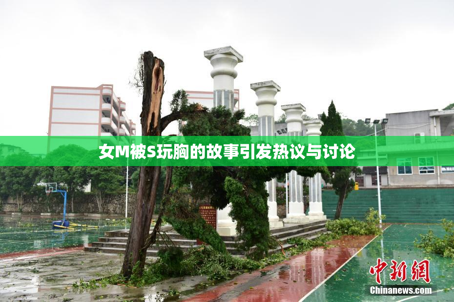 女M被S玩胸的故事引发热议与讨论