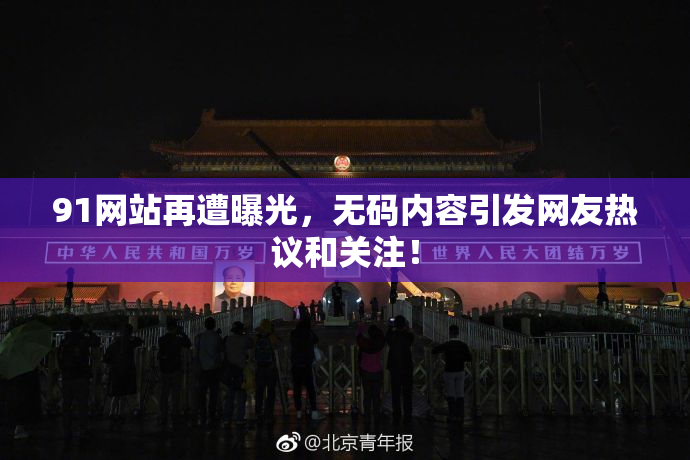 91网站再遭曝光，无码内容引发网友热议和关注！