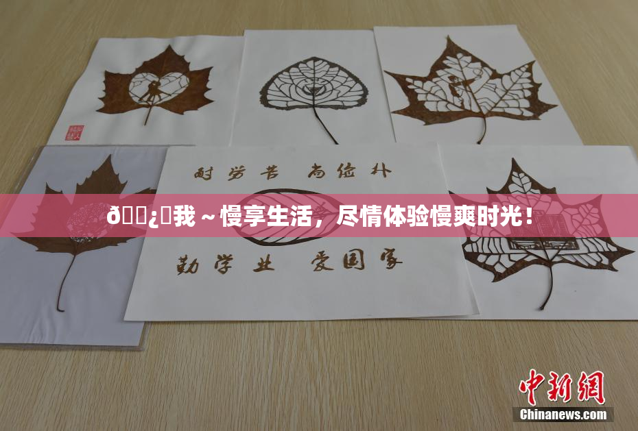 🌿‌我～慢享生活，尽情体验慢爽时光！