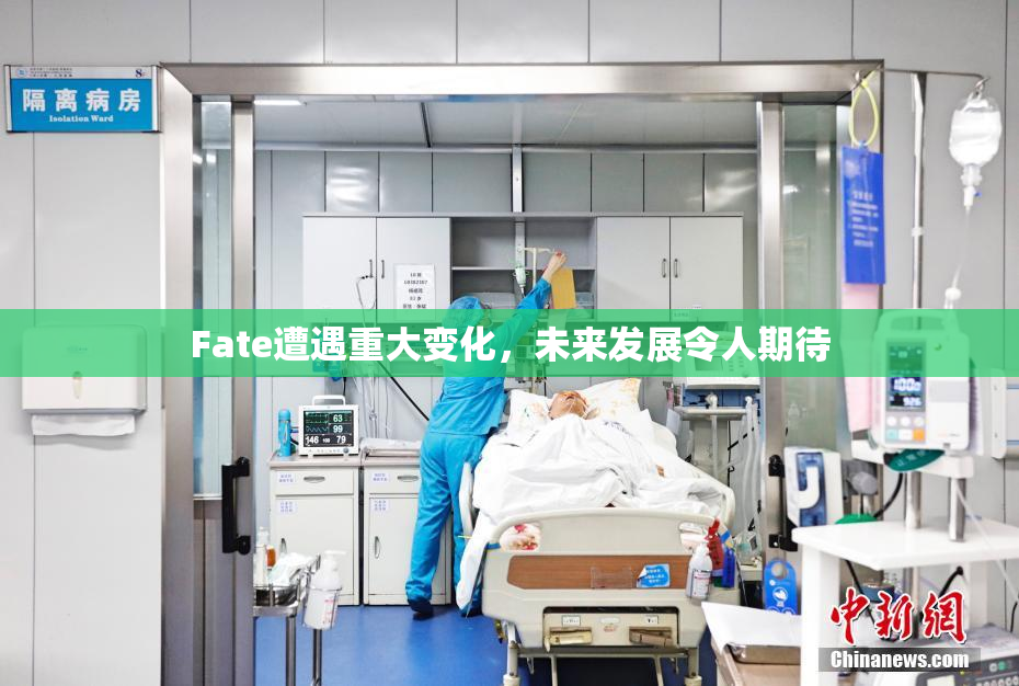 Fate遭遇重大变化，未来发展令人期待