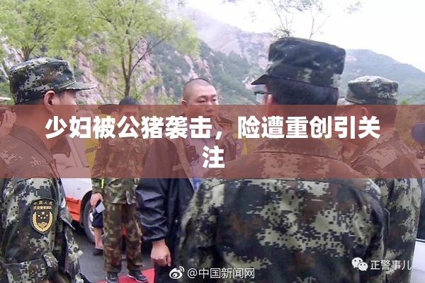 少妇被公猪袭击，险遭重创引关注