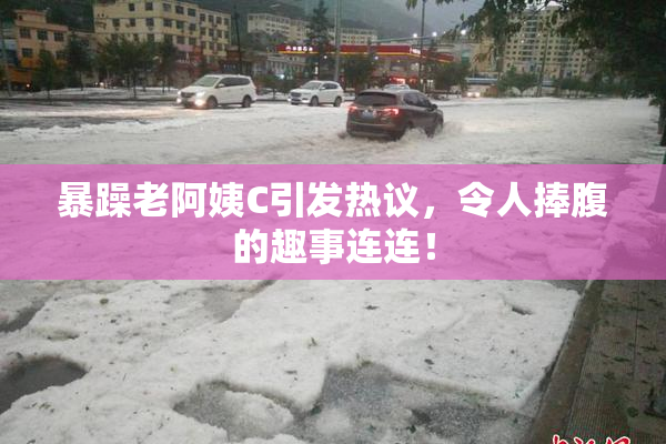 暴躁老阿姨C引发热议，令人捧腹的趣事连连！