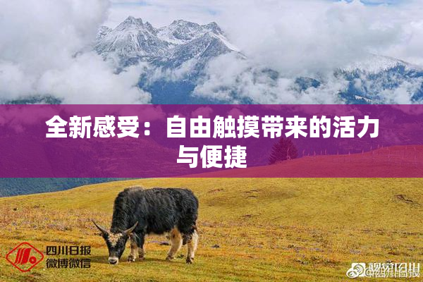全新感受：自由触摸带来的活力与便捷