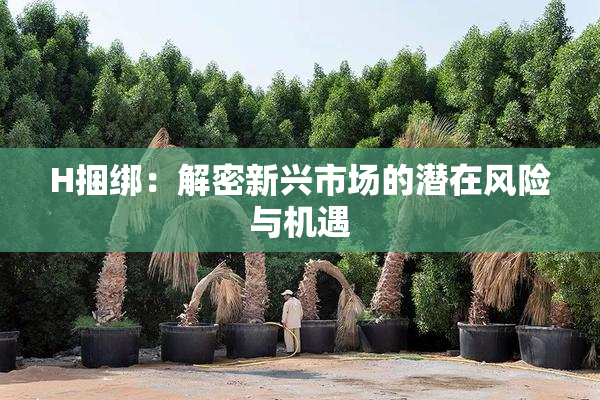 H捆绑：解密新兴市场的潜在风险与机遇