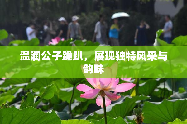 温润公子跪趴，展现独特风采与韵味