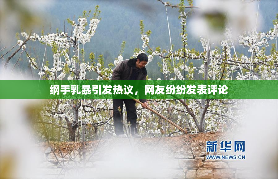 纲手乳暴引发热议，网友纷纷发表评论