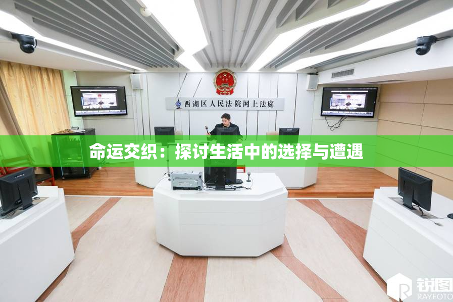 命运交织：探讨生活中的选择与遭遇