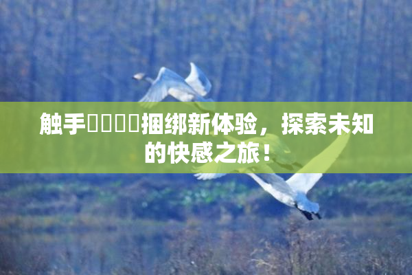 触手❌‌❌‌捆绑新体验，探索未知的快感之旅！