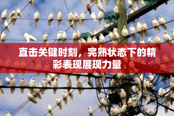 直击关键时刻，完熟状态下的精彩表现展现力量