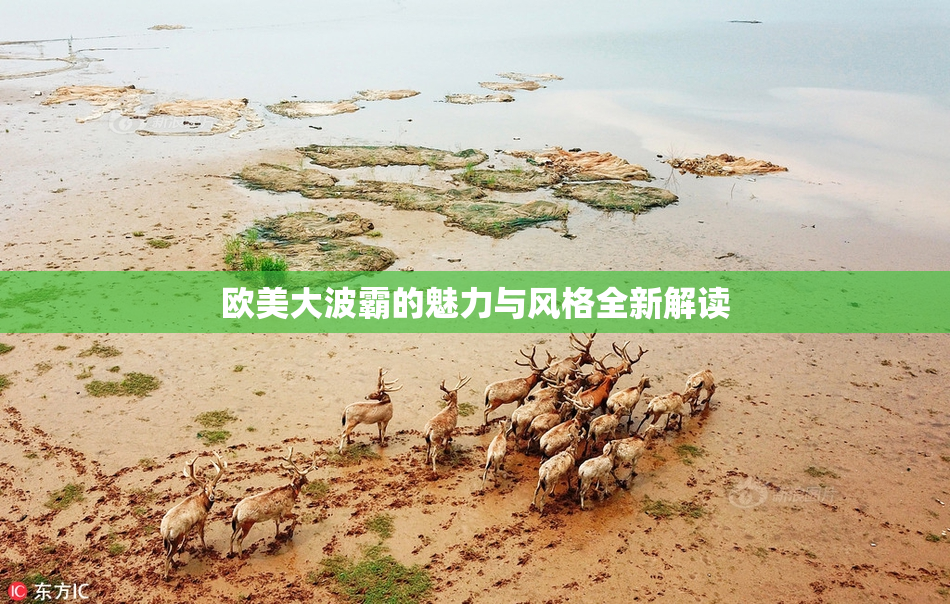 欧美大波霸的魅力与风格全新解读