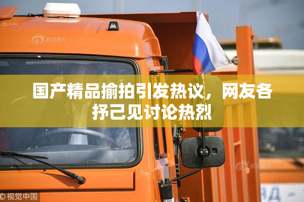 国产精品揄拍引发热议，网友各抒己见讨论热烈