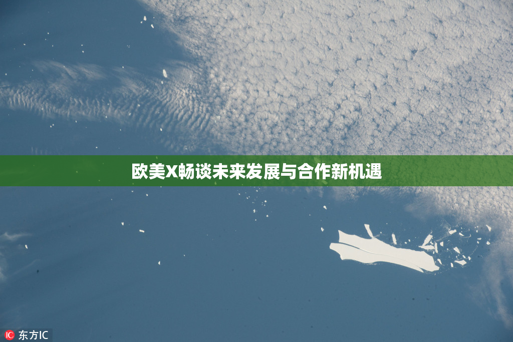 欧美X畅谈未来发展与合作新机遇