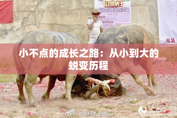 小不点的成长之路：从小到大的蜕变历程