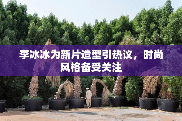 李冰冰为新片造型引热议，时尚风格备受关注