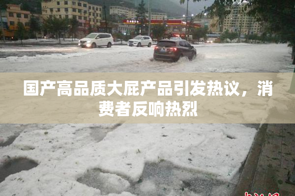 国产高品质大屁产品引发热议，消费者反响热烈