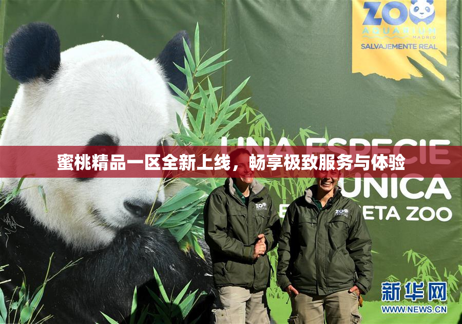蜜桃精品一区全新上线，畅享极致服务与体验