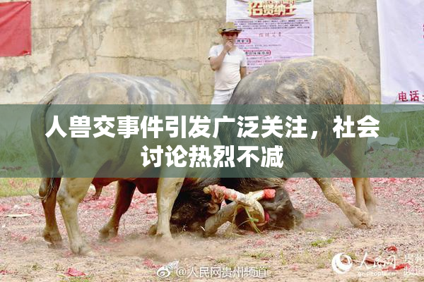 人兽交事件引发广泛关注，社会讨论热烈不减