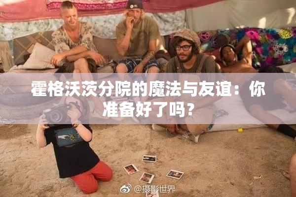 霍格沃茨分院的魔法与友谊：你准备好了吗？