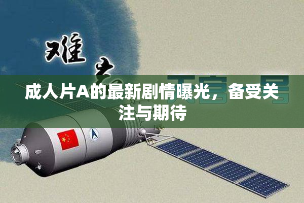 成人片A的最新剧情曝光，备受关注与期待