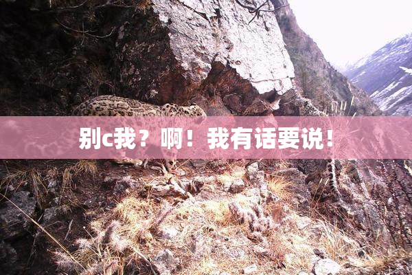 别c我？啊！我有话要说！