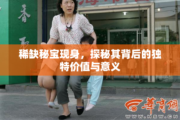 稀缺秘宝现身，探秘其背后的独特价值与意义