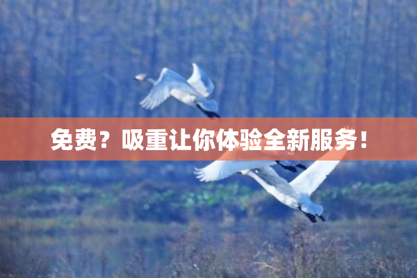 免费？吸重让你体验全新服务！