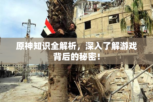 原神知识全解析，深入了解游戏背后的秘密！
