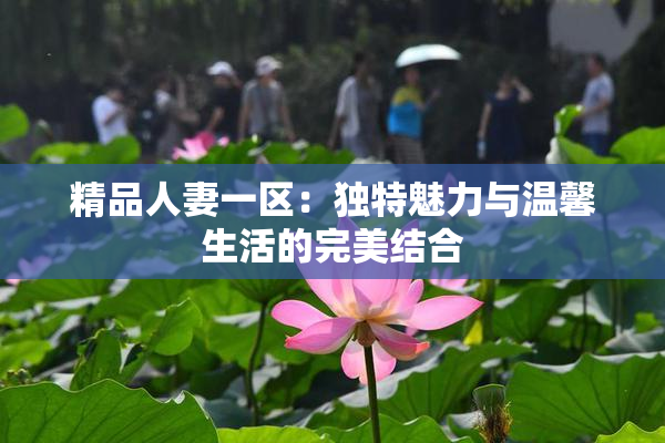精品人妻一区：独特魅力与温馨生活的完美结合