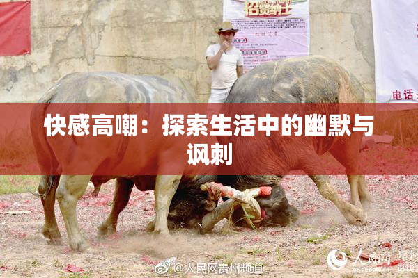 快感高嘲：探索生活中的幽默与讽刺