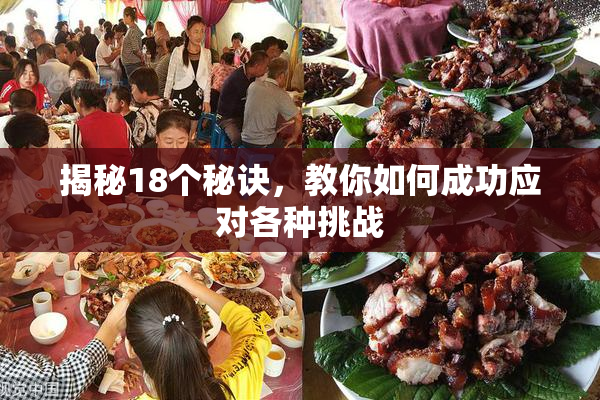 揭秘18个秘诀，教你如何成功应对各种挑战