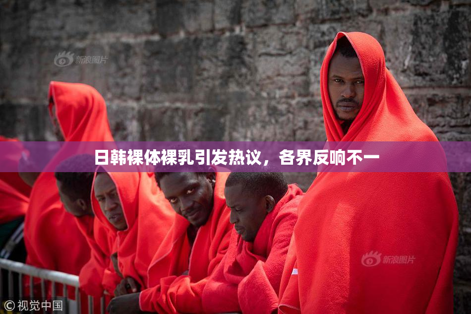 日韩裸体裸乳引发热议，各界反响不一